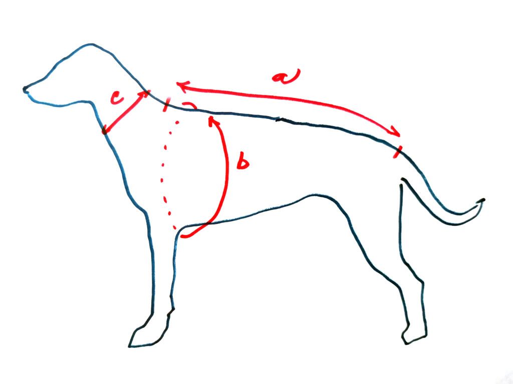nákres jak změřit míry psa